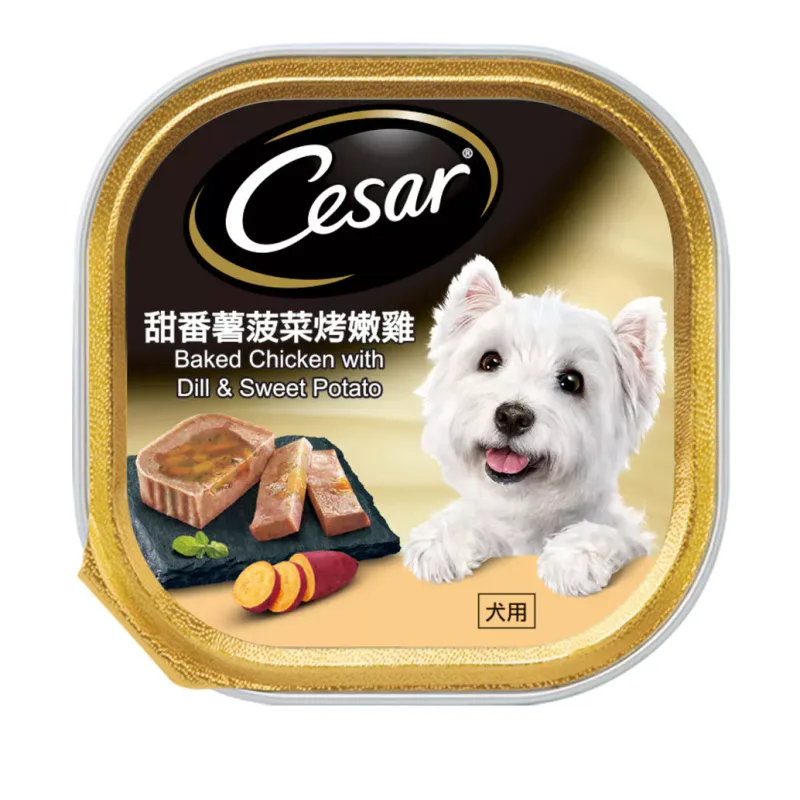 西莎 精緻餐盒 24入x100g 產品特寫
